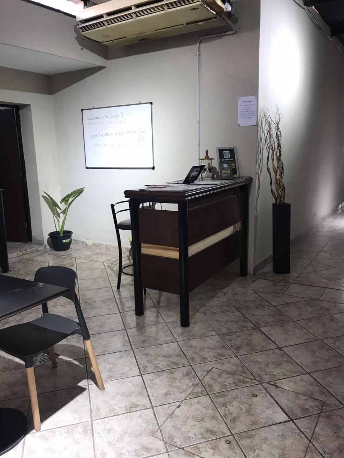 Urban Jungle Hostel San Miguel de Tucumán Zewnętrze zdjęcie